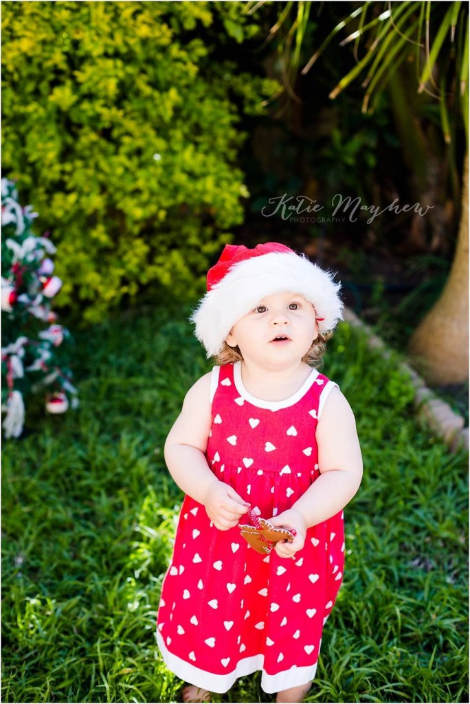 COPYRIGHT MLM Charly Christmas